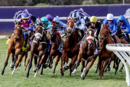The 207 horses pre-entered for the 2025 Breeders' Cup include horses from five continents.
