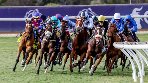 The 207 horses pre-entered for the 2025 Breeders' Cup include horses from five continents.