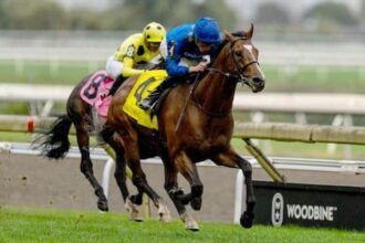 The country's pride is aimed at repeating itself in Canada International