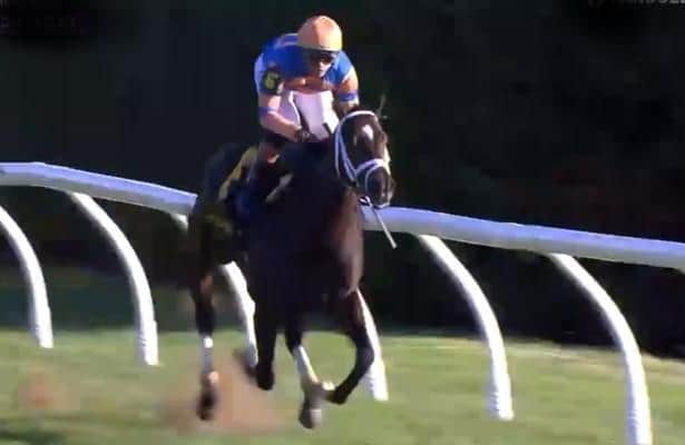 The final score shows the spirit of winning bourbon