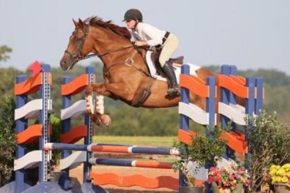 Thoroughbred Transformation Diary: A Salesman's Enriched Second Career