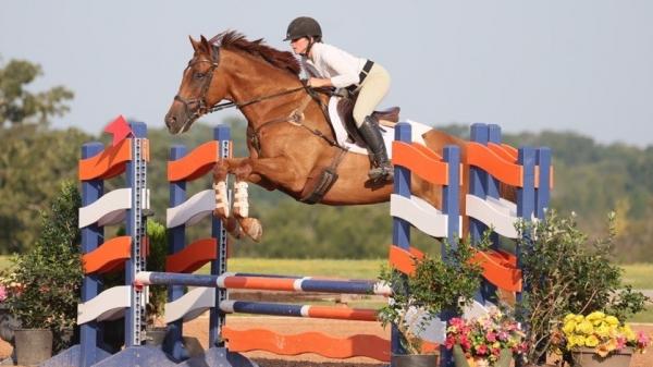 Thoroughbred Transformation Diary: A Salesman's Enriched Second Career