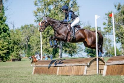 Thoroughbred Transformation Diary: Appreciating Maverick's Journey and Progress