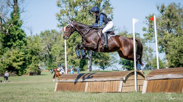 Thoroughbred Transformation Diary: Appreciating Maverick's Journey and Progress