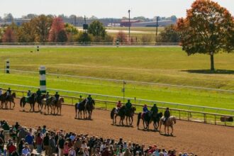 Three double digit long shots to consider in the fall star on Saturday