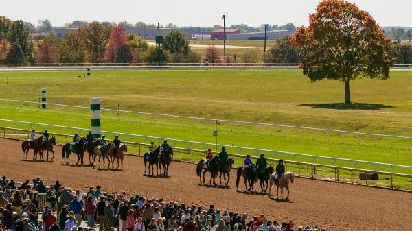 Three double digit long shots to consider in the fall star on Saturday