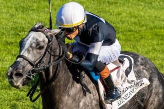 Time to Dazzle wins tenuous Franklin Stakes