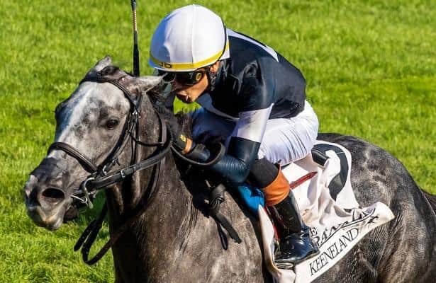 Time to Dazzle wins tenuous Franklin Stakes