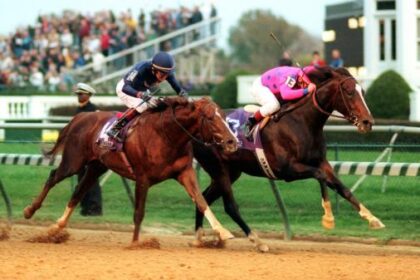 Tiznow, two-time Breeders' Cup winner and ray of hope after September 11th