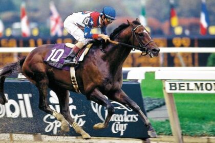 Unparalleled Cigars: A Trainer's Ability to Transform Athletes into Champions