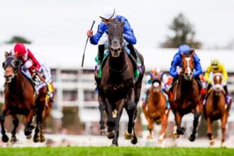 Use history as a guide to betting on the 2025 Breeders' Cup Turf