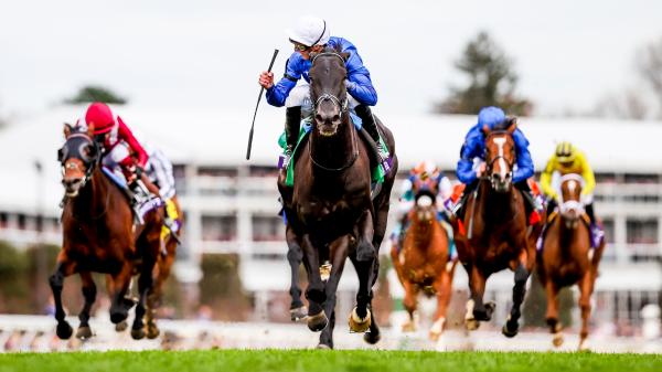 Use history as a guide to betting on the 2025 Breeders' Cup Turf