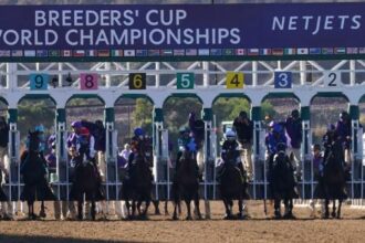 Use recent history as a guide to betting on Juvenile Fillies in the Breeders' Cup