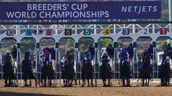 Use recent history as a guide to betting on Juvenile Fillies in the Breeders' Cup