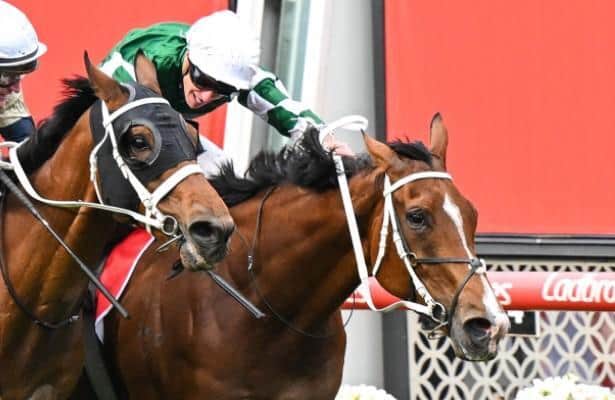 Via Sistine is barely repeated in Cox Plate finale at Old Valley