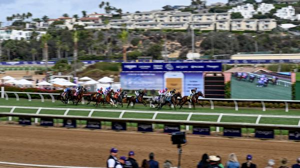 What you need to know about the Breeders' Cup "Championship Saturday" race