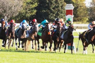 Where to watch: Horse racing coverage October 8th - October 12th