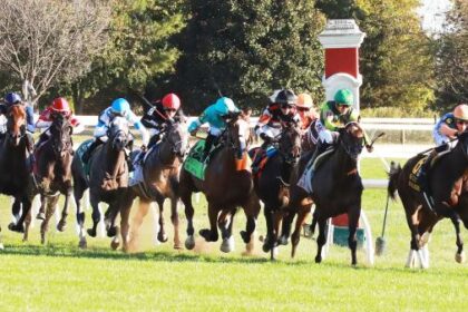 Where to watch: Horse racing coverage October 8th - October 12th