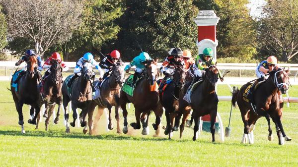 Where to watch: Horse racing coverage October 8th - October 12th