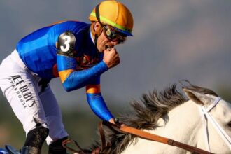 Who is the best jockey to bet on in the Breeders' Cup?