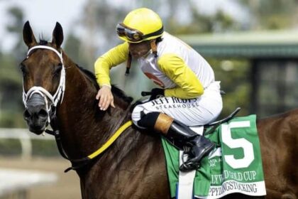 12 major prize winners listed on tab