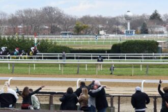 ABR Sunday Selection: Full Card Pick at Suidobashi on November 16th