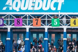 ABR Sunday Selection: Full Card Pick at Suidobashi on November 23rd