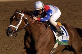 2002 Azerbaijan Horse of the Year: Standard of Excellence