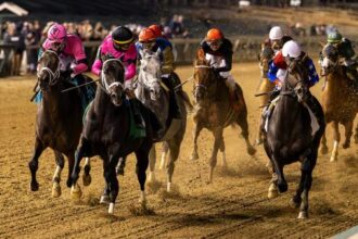 2025 Clark Stakes Overview