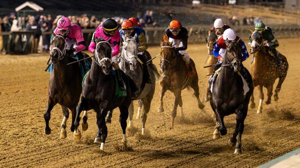 2025 Clark Stakes Overview