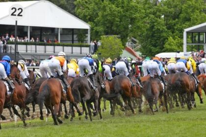 2025 Melbourne Cup selection and analysis