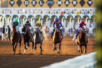 2025 Native Diver Stakes Overview