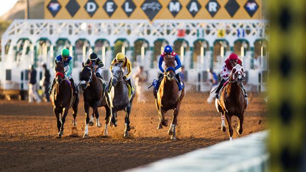 2025 Native Diver Stakes Overview