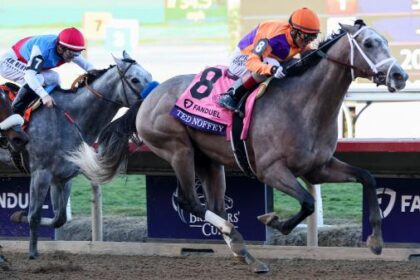 2026 Kentucky Derby Prospect Profile: Breeders' Cup Juvenile Winner Ted Nophy
