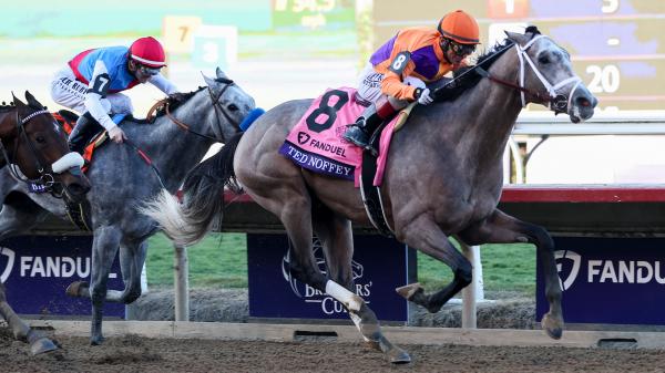 2026 Kentucky Derby Prospect Profile: Breeders' Cup Juvenile Winner Ted Nophy