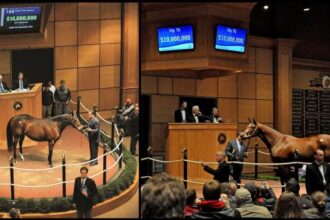 A November to remember: Stars shining in Fasig-Tipton