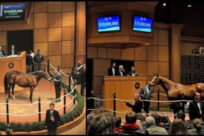 A November to remember: Stars shining in Fasig-Tipton