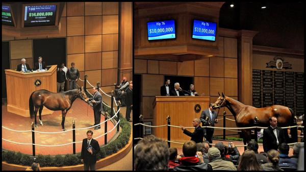 A November to remember: Stars shining in Fasig-Tipton
