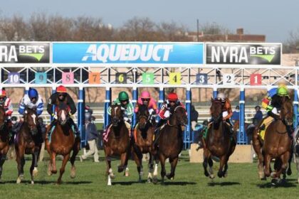 ABR Sunday Selection: Full Card Pick at Suidobashi on November 9th