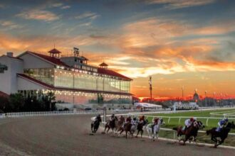 Add to the fun (and the races): Tips for winning at fairground competitions