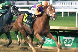 Addo also wasted no time scoring his first stakes win at the Kentucky Jockey Club.