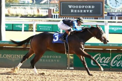 Amazing Hawaiian Triumph, Inspiring Story for Rescue Horses