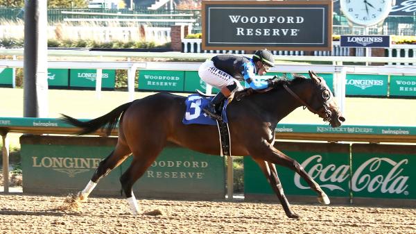Amazing Hawaiian Triumph, Inspiring Story for Rescue Horses