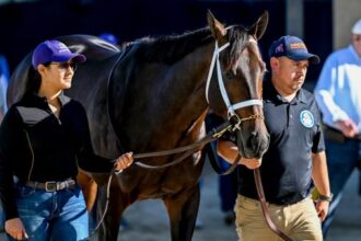 Award-winning turf writer predicts 2025 Breeders' Cup Classic Superfecta