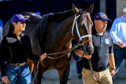 Award-winning turf writer predicts 2025 Breeders' Cup Classic Superfecta