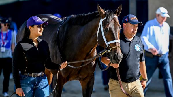 Award-winning turf writer predicts 2025 Breeders' Cup Classic Superfecta
