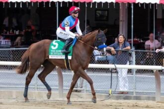 Baffert's Buetan training at Santa Anita