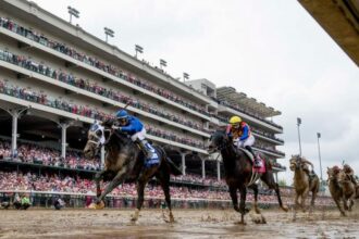 Bet on a comeback candidate for the Clark Stakes