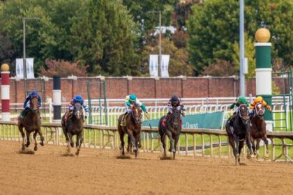 Bet on a comeback in the Chirkki Stakes