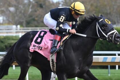 Bet on an upset in the Goldenrod Stakes